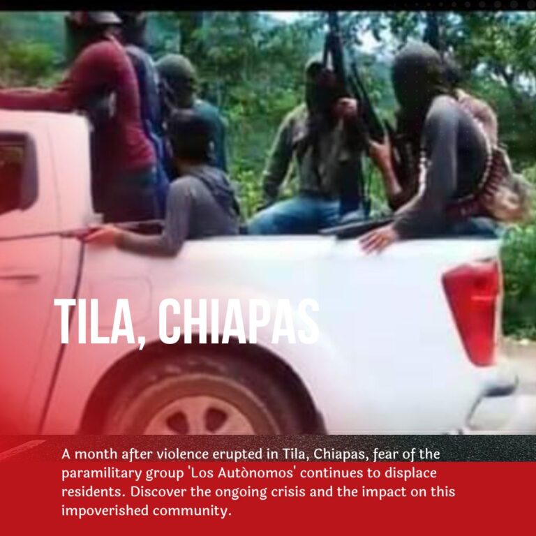 Ongoing Displacement and Fear in Tila: The Reign of ‘Los Autónomos'”