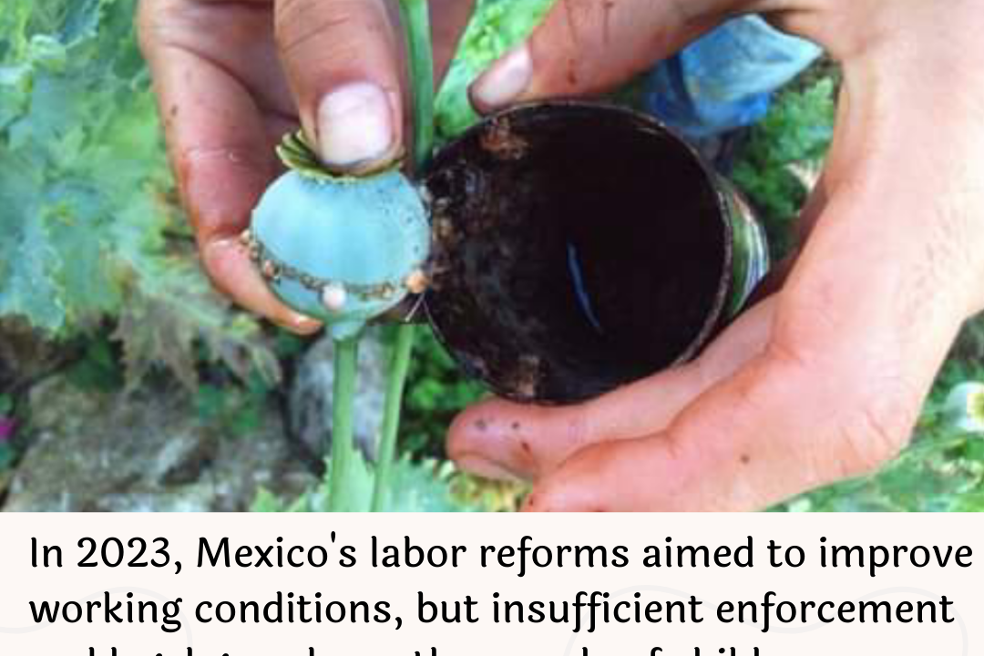 Mexico Under Scrutiny: Labor Reforms Advance, but the Fight Against Child Labor Remains Incomplete