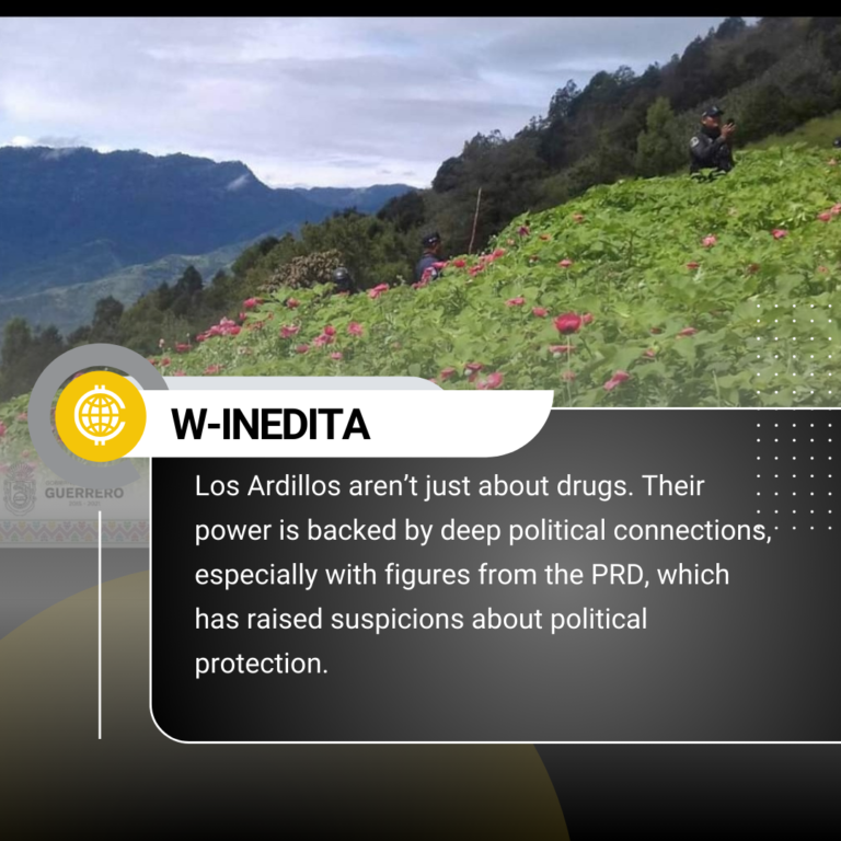 Los Ardillos. Their power is backed by deep political connections.